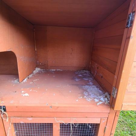 Image 6 of Bluebell 5' hideaway rabbit guinea pig hutch