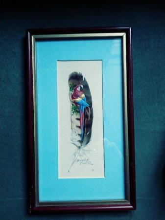 Image 1 of Parot painted on feather framed