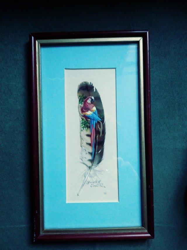 Preview of the first image of Parot painted on feather framed.