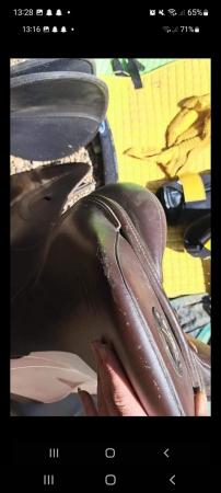 Image 2 of 16" brown saddle tekna (cheap)