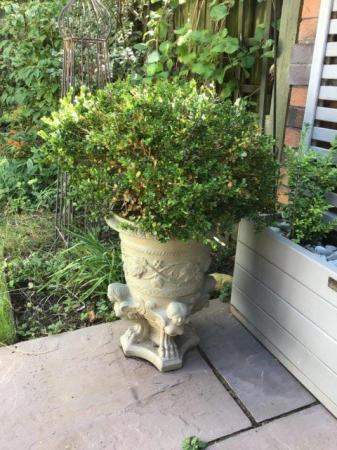 Image 1 of Large period style planter 43cm high
