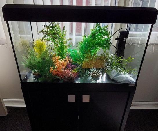 Image 1 of Fishtank and accessories