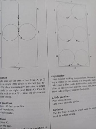 Image 4 of BOOK: School Exercises for flatwork & jumping