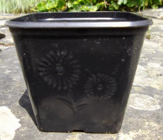 Image 1 of Plantpak FP6 Square Nursery Growing Pots with Flower Pattern