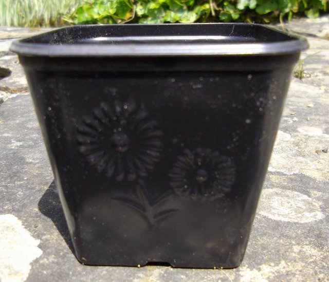 Preview of the first image of Plantpak FP6 Square Nursery Growing Pots with Flower Pattern.