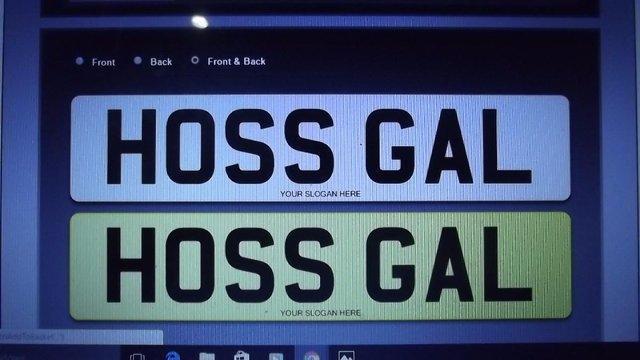 Image 5 of Horse,equestrian HIS & HERS private uk registration plates