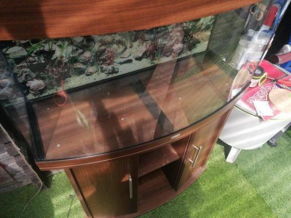 Image 5 of LARGE CURVED FRONT FISH TANK WITH CABINET