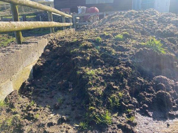 Image 1 of Manure - FREE to collect - Still some left