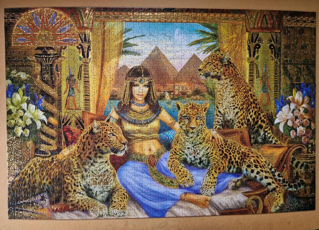 Preview of the first image of 1000 piece jigsaw called QUEEN OF THE LEOPARDS by CORNER PIE.