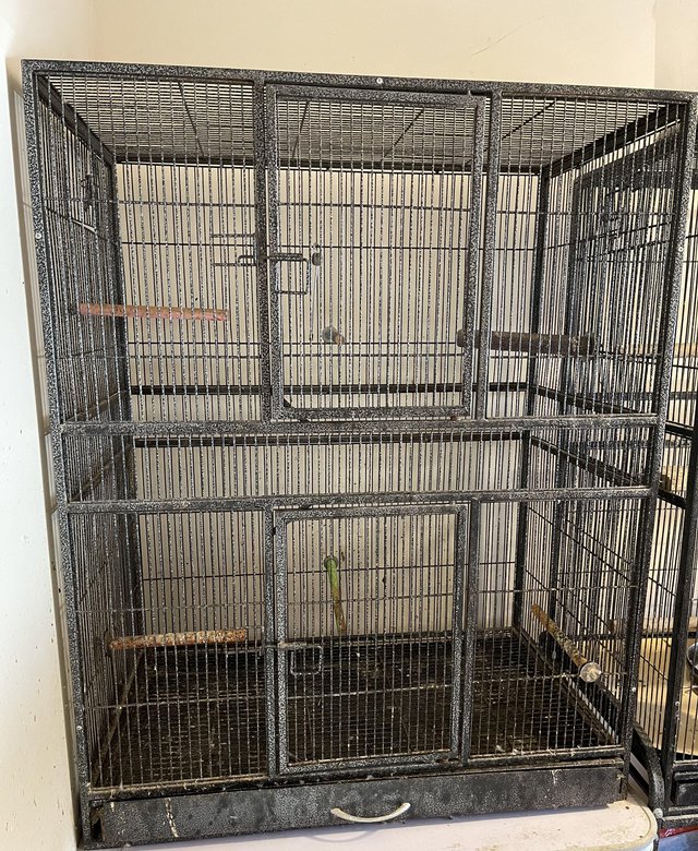 Preview of the first image of Birds cage no stand for sale.