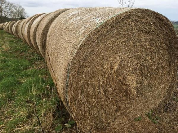 Image 2 of Large 5ft Round Bales 2023 Meadow Hay for All Livestock