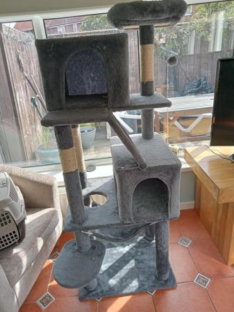 Image 2 of Cat climbing, scratch and play stand.