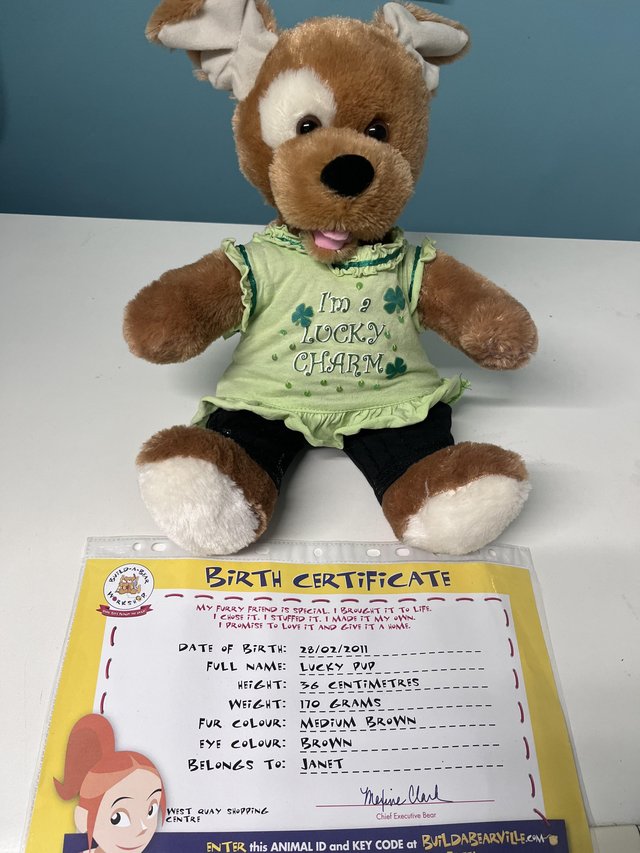 Preview of the first image of Build a bear lucky pup soft toy.