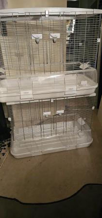 Image 6 of Large Vision bird cage, suitable for budgies, parrotlets