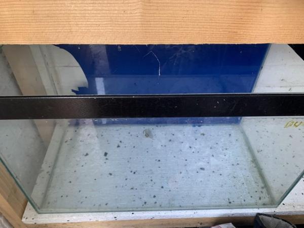 Image 2 of Rodent tank / or reptile tank £5