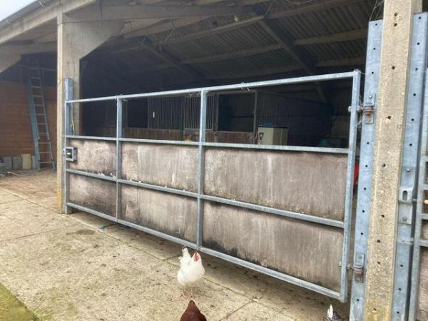 Image 2 of Cattle Gates 15 foot galvanised heavy duty - 3 available