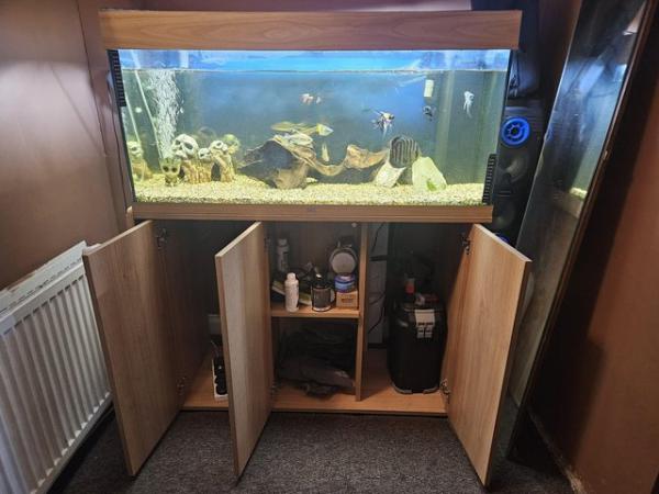Image 5 of Tropical fish time full set up