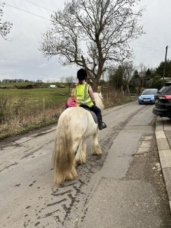 Image 1 of Pony wanted for part-loan in Tameside