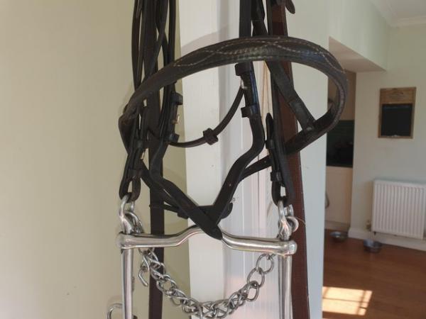Image 3 of Cob Size Brown Leather Double Bridle