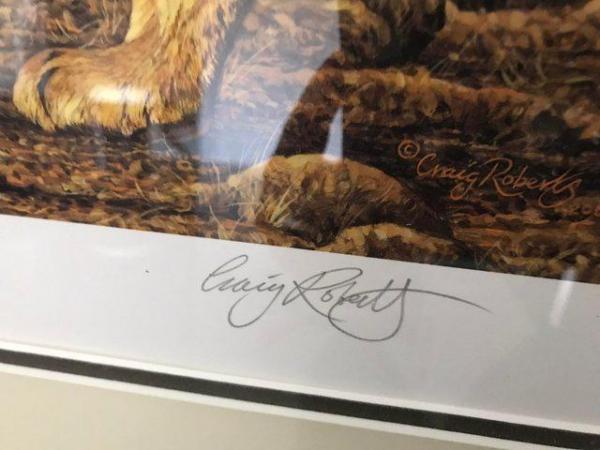 Image 2 of Craig Roberts framed lion print