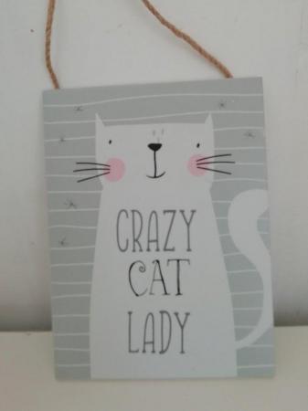 Image 1 of Home Wall Hanging Crazy Cat Lady Plaque