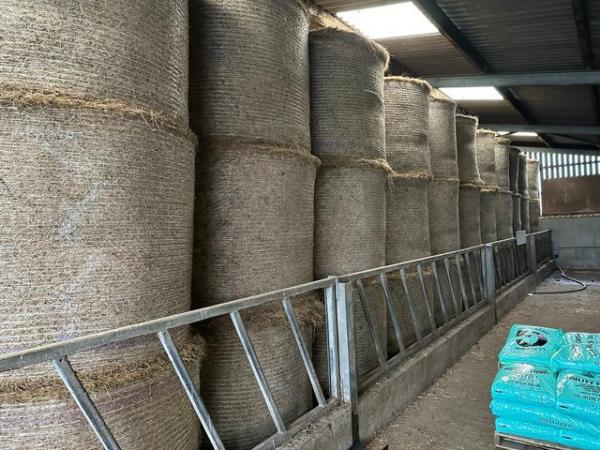 Image 5 of Round Bale Excellent Hay For Sale