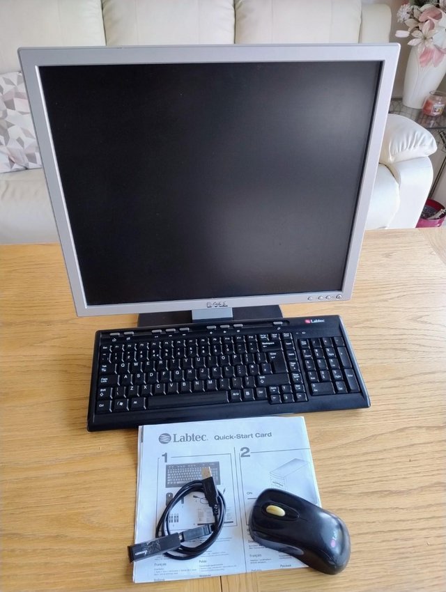 Dell E178WFP Flat Panel TFT LCD 900p 16:10 Wide 17 inch Moni