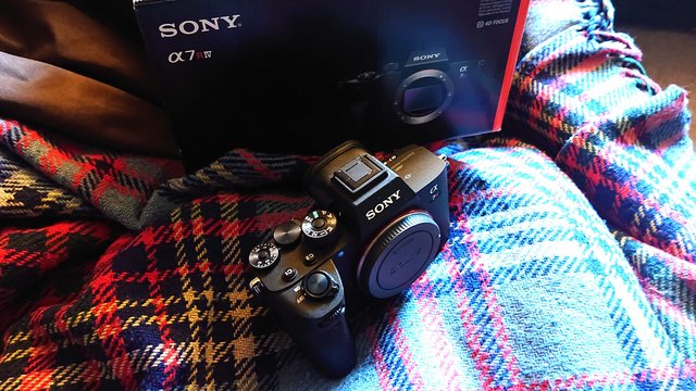 Preview of the first image of Sony A7RIV 61 Megapixel Camera Body.
