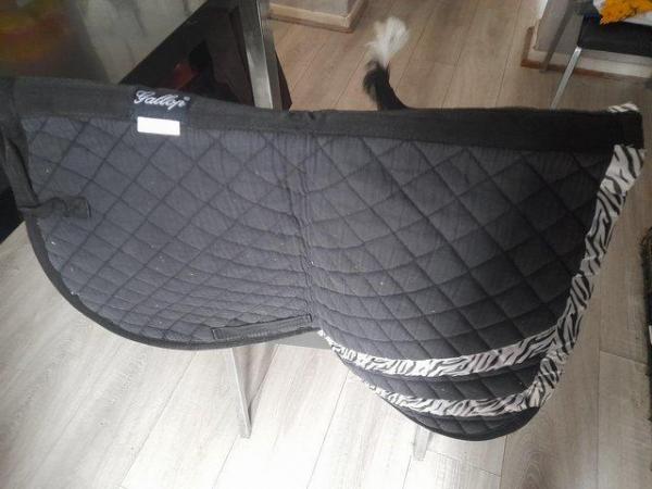 Image 2 of Cob size saddle pads for sale