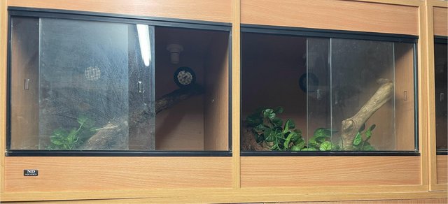 Image 3 of Wooden vivariums for sale, various sizes