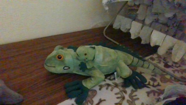 Image 1 of cuddly green iguana soft toy