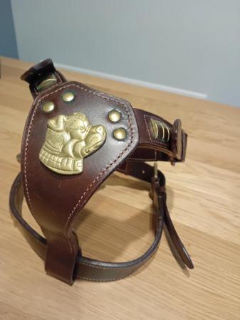 Image 3 of Staffordshire Bull Leather Harness