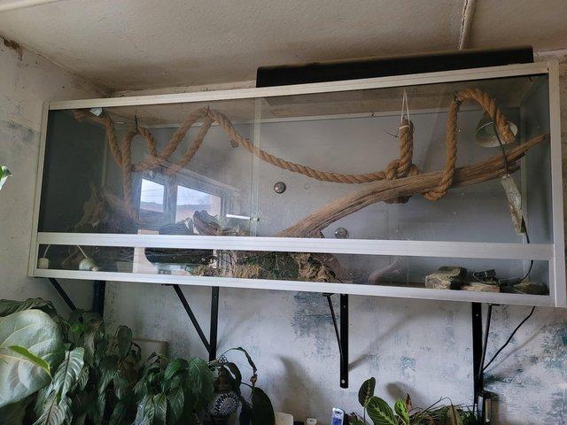 Preview of the first image of Large reptile vivarium  for sale.