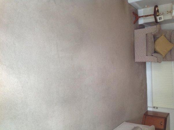 Image 1 of Lounge Carpet complete with underlay