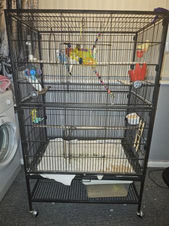 Image 1 of 3 birds cage toys and food
