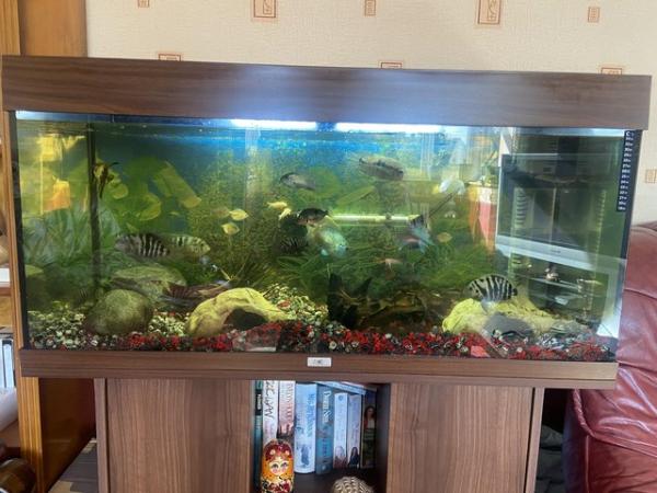 Image 5 of Jewel 180 Aquarium. Full set up
