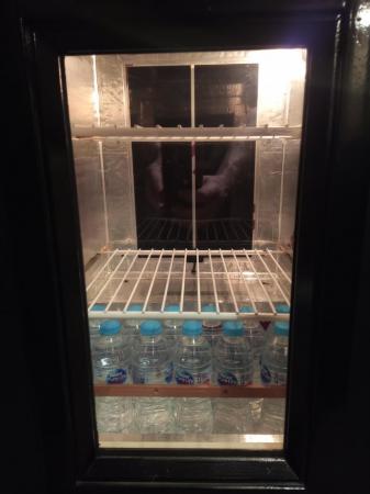 Image 2 of Homemade fridge incubator .....