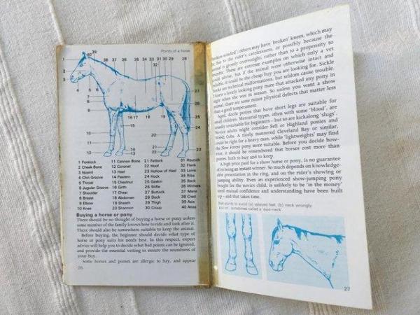 Image 2 of Vintage Horses & Ponies book by Judith Campbell.