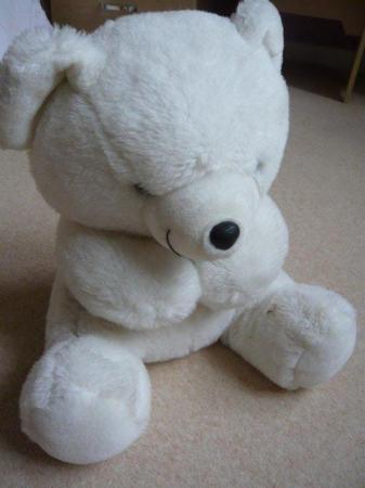 Image 1 of Teddy bear - large, white, excellent condition