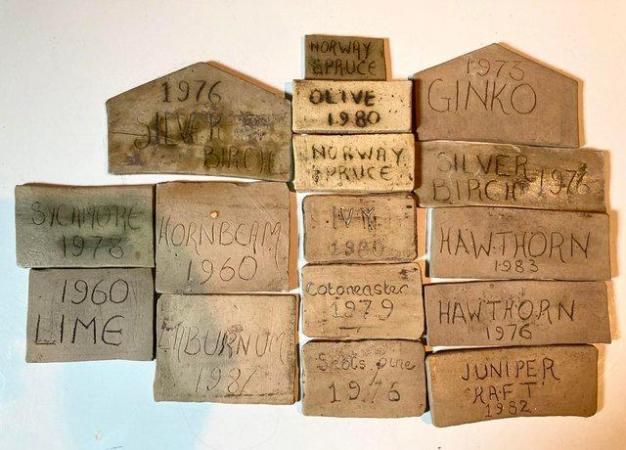 Image 1 of Collection of vintage ceramic Bonsai name plates (S30)