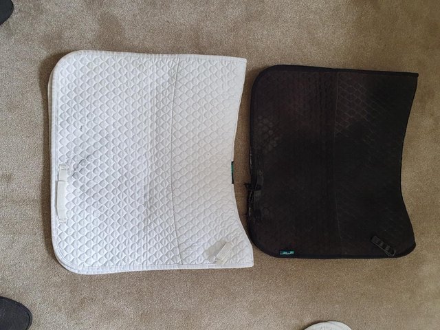 Preview of the first image of Nuumed Hi Wither Dressage half wool saddle pads.