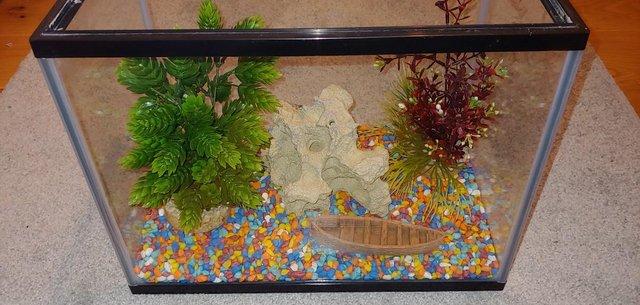 Image 5 of AquaTown 19 litre fish tank, filter and accessories