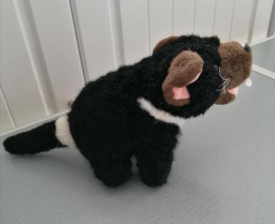 Image 6 of A Small "Tasmanian Devil" Soft Toy by Windmill Toys, Austral