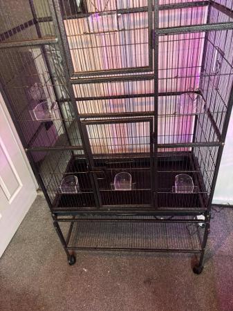 Image 4 of Large metal parrot or bird cage