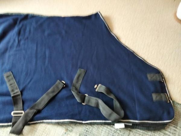 Image 3 of Masta pony 5' 3" blue fleece rug
