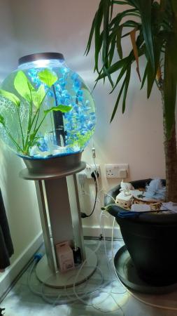 Image 4 of 60L Birob Fish tank and stand for sale