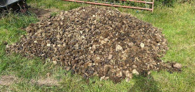 Preview of the first image of Free horse manure unlimited supply.