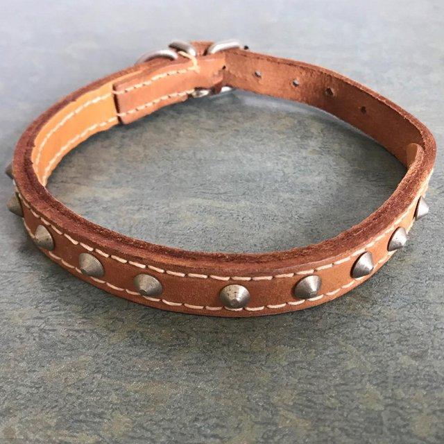 Preview of the first image of Leather studded dog collar. Approx 27-33cms x 1cm. Can post..