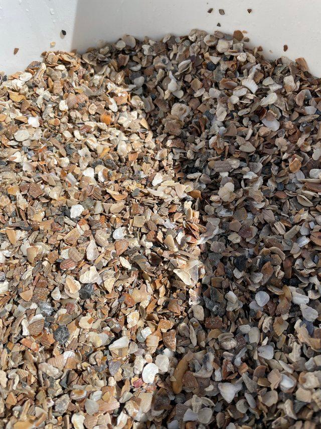 Preview of the first image of Oyster shell calcium source for  ducks, geese and chicken.