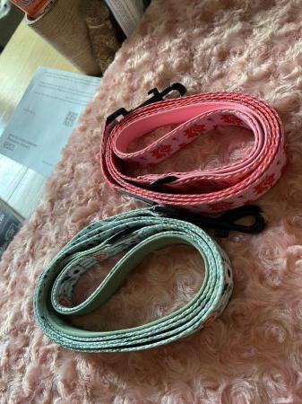 Image 5 of Dog harness lead & poo bag holder sets